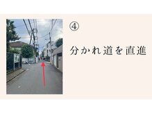 コロニラ(coronille)/道案内4
