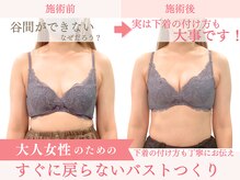 ベルフルール/バストアップ/熊本/南熊本