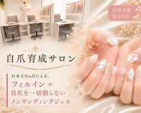 ポルティネイル(Porti Nail)