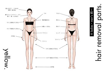 イエロー(yellow.)/脱毛★パーツ分け