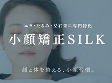 シルク(SILK)