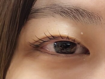 マギバイバディ 宇都宮店(magi by BUDDY)/フラットラッシュ