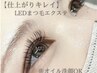 【最短硬化LED】カラー変更◎[高品質＆高持続］フラット100本【Lコート付き】