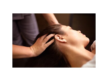 ファーストクラス(FIRST CLASS)の写真