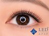 【LEDエクステ】セーブルorフラット160本　¥10,900