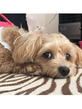 サロン キキ(KiKi)&nbsp;米山 ラテ