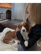 シャンディー(Shandy)&nbsp;心優 