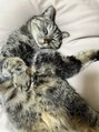ヘッドミント 荻窪店&nbsp;お家で飼ってる猫さんです♪名前は『きらら』です