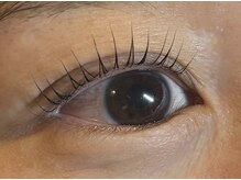 アポロランド ルーナ/まつげパーマ