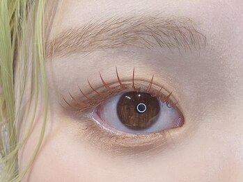 カセッタ アイラッシュ(Casetta eyelash)の写真/ワンランク上の目元を実現☆目の形やまつ毛の生え方を見極めて丁寧に施術をするのでなりたい目元が叶う♪