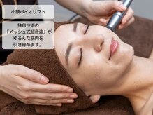 ルディラ医療提携エステ 立川店 毛穴/小顔/ニキビ・シミ・美白・シワ・たるみケア/小顔バイオリフト