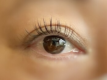 アイアイ(i eye)/フラットラッシュ