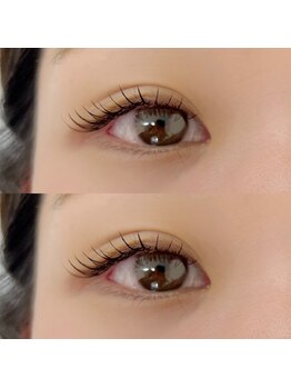 アネラ(anela)/フラットラッシュ120本