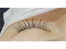 シルフ 石橋店(Sylph)/100本