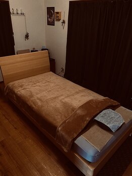 オリーブ(olive)/