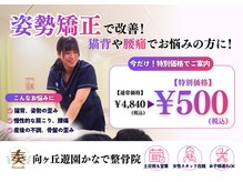 かなで整骨院 向ヶ丘遊園