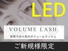 【柏/LEDマツエク/新登場】LED×3Dボリュームラッシュ(極上セーブル) [400本]