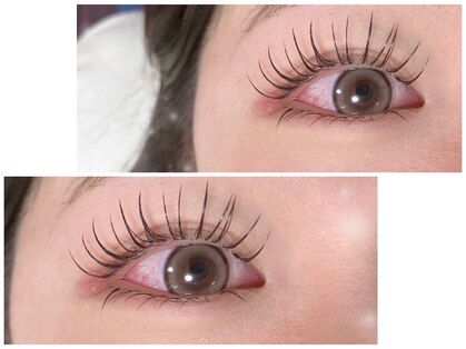 マロンアイラッシュ(maron eyelash)の写真