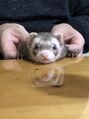 セレノフィル 田町三田(Selenophile)&nbsp;フェレットのうどんさん笑笑