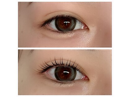 テン(ten.)の写真