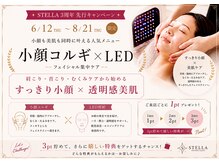 ステラ(STELLA)