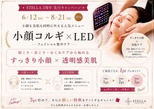 ステラ(STELLA)