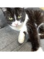 アイム 横浜店(i'm)&nbsp;猫を飼っています♪癒されます＊[横浜/アイブロウ/眉毛サロン]