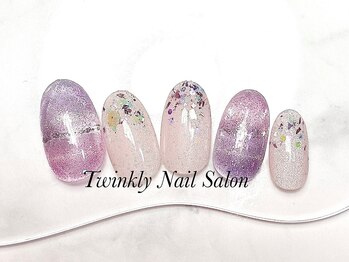 トゥインクリーネイルサロン(Twinkly Nail Salon)/定額メニューアートプラン