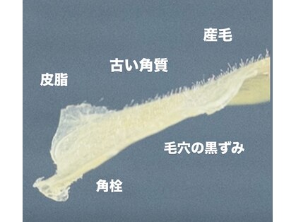 グリーム(Gleam)の写真
