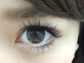 スプリング アイラッシュアンドネイル(SPRING eyelash&nail)/ボリュームラッシュでふわふわに