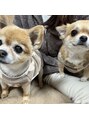 ホワイトニングショップ 刈谷店 15歳のいちごと3歳のつくねです^^