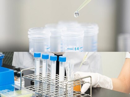 【医療提携】ヒト幹細胞原液100% Re.GLARE浦安/毛穴洗浄/ハイドラ/ハーブ/肌荒れ/小顔の写真