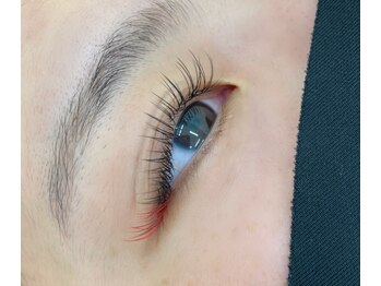 カメリア(Camellia)/フラットラッシュ120本