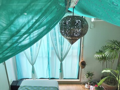 プルニマ(PURNIMA)の写真