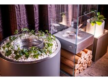 シーテラスプラス(SEA TERRACE+)/アメニティ