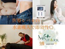 ヨサパーク サン ミナミ 国分寺(YOSA PARK SUN)