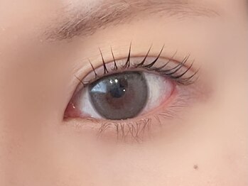 シエル(Ciel)/ラッシュリフト/まつ毛パーマ