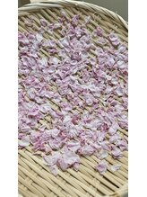 ミホズルーム(Miho‘s room)/春ですね