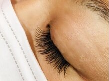 ラシェスキタモト (luscius kitamoto)/クラッシーセーブル140本