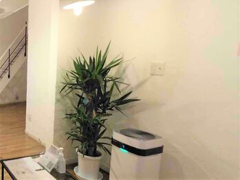 ラリュンヌ(La lune)/