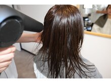 ルエリア(Ruellia)/ヘッドスパ