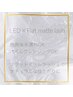 LEDフラットマットラッシュ100本