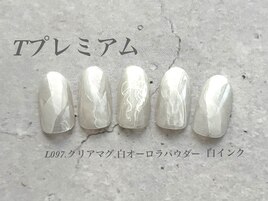 ハンド定額プレミアムコース