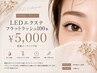 【付け足しLEDエクステ】フラットラッシュ100本¥5000☆束感コーティング付