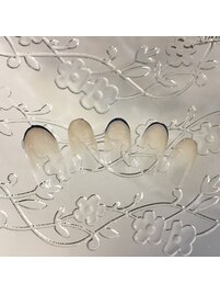 8月定額デザイン