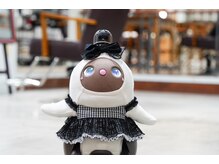 チュティ(CuTi)の雰囲気（かわいいLOVOTのまろんがお出迎え！）