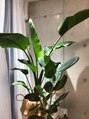 エウブ(eub) 植物育てるのが楽しいです♪グリーンがあると癒されます!
