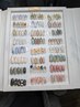 【初回オフ無料】定額ネイルC・ゴージャスコース￥11000→￥8910