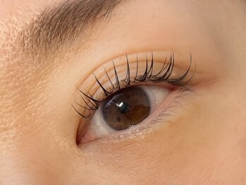 ビアンド(Be&)/フラットラッシュ120本