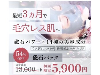 サリエ(S'allier)/磁石パック